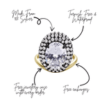 Choose What Chooses You Ring Pavé Perch Gold Plated Ring