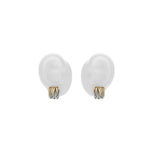 Wild Thing Two-Tone Zig-Zag Earrings