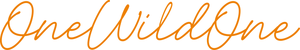 One Wild One logo in an artistic orange script font on a white background.